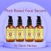Buy d ve herbes Plant-Based Alpha Arbutin Face Serum | Bearberry Wheat Mulberry Blueberry & Pomegranate - 30ml + Free Vitamin E Oil 10ml for Glowing Skin - Buy Online on GoSupps.com