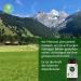 BONVIGO Alpenbitter 90 Bitter Capsules | 12-Herb Formula for Liver Support Digestion & Fat Metabolism | Natural Gentian Wormwood & Dandelion Blend - Buy Online on GoSupps.com