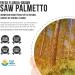 Saw Palmetto Extract 10X Potency + Pumpkin Seed Oil | Prostate Health & Hair Growth Support | DHT Blocker | 60 Softgels - Buy Online on GoSupps.com