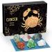 Aovila Cancer Crystals Zodiac Gift Set | Star Sign Healing Crystals & Birthstones | Astrology Horoscope Box Set - Perfect Gift for Cancer Sign - Buy Online on GoSupps.com