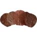 Garnelen4you Sea Almond Leaves - 100 Premium 6-9 cm for Shrimp Fish Crabs Snails | Climate-Neutral Packaging | Long-Term Feed & Water Treatment - Buy Online on GoSupps.com