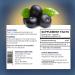 Synerplex A a Capsules - All-Natural Superfood for Brain Heart & Reproductive Health | Nutrient Dense & Antioxidant Rich - Buy Online on GoSupps.com