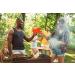 DecorRack 120 12 oz Disposable Plastic Cups - Orange - 120 Count for Parties, Camping, Events - BPA-Free Beverage Drinking Cups - Buy Online on GoSupps.com