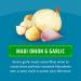 Mauna Loa Maui Onion & Garlic Macadamias 4.5 oz - Gourmet Snack - Buy Online on GoSupps.com