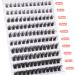 Ruairie Black 120pcs Wispy Mega Fluffy Eyelash Clusters for DIY Extensions, 8-16MM Individual Lashes - Buy Online on GoSupps.com