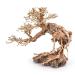 Aquarium Wood Bonsai Tree Decoration Premium Pieces Aquascaping Root Iwagumi Tree L 30x25x20cm - Buy Online on GoSupps.com