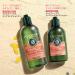 Shop L'Occitane Essential Oils Intensive Repair Conditioner 500ml for Women - Best International Shipping - Buy Online on GoSupps.com