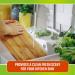 CLR Fresh & Clean Garbage Disposal Cleaning Pods - 5 Weekly Foaming Pods - Fresh Scent - Packaging May Vary - Buy Online on GoSupps.com