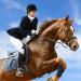 Coolrunner 18 Riding Crop with PU Leather - Double Slapper Horse Whip for Equestrianism - Buy Online on GoSupps.com
