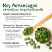 AimGrow Organic Chlorella Chlorella Tablets with Broken Cell Wall Canada Organic 500mg 300 Counts - Buy Online on GoSupps.com