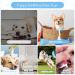 Fanshionide Kielzeug Dog - 6 Indestructible Natural Rubber & Plush Squeaky Puppy Toys for Interactive Play - Perfect for Small & Medium Dogs - Buy Online on GoSupps.com