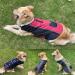 Etechydra Reversible Waterproof Dog Coat Vest with Reflective Trim, Warm Fleece Collar | Red+Black | Small - Buy Online on GoSupps.com