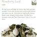 Organic Red Raspberry Leaf Tea for Pregnancy - 100g Loose Leaf Tea - RasberryLeaves 100g (1 Pack) - Buy Online on GoSupps.com