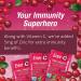 Ener-C Vitamin C Effervescent Drink Mix - Cranberry Flavor, 30 Packets (10 oz) - Boost Immunity & Energy - Buy Online on GoSupps.com