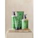 Urtekram Blown Away Wild Lemongrass Organic Hand Cream - 75ml | Nourishing & Moisturizing | International Shipping - Buy Online on GoSupps.com