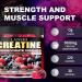 Creatine Monohydrate Gummies 5000mg - Sugar Free Pre Workout Supplement for Men & Women Creatine Gummies for Muscle Strength Recovery Cognitive Health & Memory Mixed Berry Flavor 120 Count - Buy Online on GoSupps.com