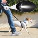 Buy Moyouno Retractable Dog Leash with Feces Bag Holder | Durable & Automatic Training Leash | Ideal for International Shipping - Buy Online on GoSupps.com