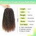 10inch Pre-Twisted Short Passion Twist Crochet Hair for Black Women - Pack of 8 - T30 - Buy Online on GoSupps.com