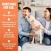 TropiClean Natural Flea & Tick Home Spray 32oz - Kills Fleas Naturally on Carpet, Furniture & Bedding - Safe for Dogs & Cats - Made in USA - Buy Online on GoSupps.com