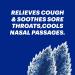 HALLS Minis Mentho-Lyptus Sugar-Free Cough Drops - 24 Drops - Buy Online on GoSupps.com