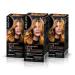 Syoss SYOSS Permanent Color 8-7 Golden Blonde Caramel Hair Colour and Keratin Mask for Professional Coverage of Grey Hair Lasting Colour and Intensive Care Pack of 3