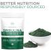 Organic Spirulina Powder 225g - USDA Certified, 64 Servings, 70% Protein, Vegan Superfood - Buy Online on GoSupps.com