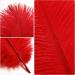 THARAHT 24pcs Red Ostrich Feathers 10-12Inch for Wedding & Party Centerpieces - Bulk Natural Feathers for Easter, Gatsby & Home Decor - Buy Online on GoSupps.com