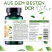 Buy Bio Curcuma Capsules - High Dose 100% Natural Organic Turmeric Extract + Vitamin C | 45x Bioavailability for Joint Health - Piperine Free C-14 Certified in DE - Buy Online on GoSupps.com