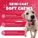 NutriPooch Skin And Coat Dog Supplements - 120 Dog Chews - UK Vet-Approved Allergy Relief for Dogs - Soft Dog Treats for Itchy Skin Shiny Coat Reduce Shedding with Omega 3 Biotin & Collagen - Buy Online on GoSupps.com
