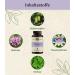 Trust Nature Seastant for Dogs | 120 Calming Tablets | Reduces Fear Stress & Barking | Made in Germany - Buy Online on GoSupps.com