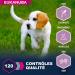 Eukanuba Puppy & Junior Adult Dry Food For Small and Medium Breed Lamb&Rice 2.5kg - Buy Online on GoSupps.com