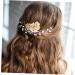 Ipetboom 1 Pair Wedding Hair Comb Hair Comb for Formal Occasions Hair Comb for Evening Dress Hair Comb Wedding Rhinestone Hair Comb Hair Combs for Wedding Decor Modeling Bride Accessories - Buy Online on GoSupps.com