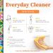 Truly Free Everyday Cleaner - Natural All-Purpose Spray & 2 Refills | Eco-Friendly Household Cleaning Supplies - Buy Online on GoSupps.com