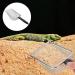 Ultechnovo Fine-Meshed Sand Filtering Shovel for Reptiles | Stainless Steel Terrarium Substrate Tool - Buy Online on GoSupps.com