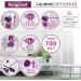 Relaxivet Cat Calming Diffuser Refill - Feline Stress Relief with Pheromones - Anti-Anxiety Solution for Cats - 2 Refills (Diffuser not Included) - Buy Online on GoSupps.com