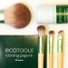 EcoTools Merry Must-Haves Kit | Eco-Friendly 6-Piece Makeup Brush Set with Shampoo & Cleanser - International Shipping - Buy Online on GoSupps.com