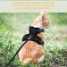 Comfortable Cat Dishes with Leash - Breathable Air Mesh Fits Neck 28-35 cm & Chest 45-51 cm - Easy On/Off - Black S - Buy Online on GoSupps.com