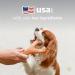 Benebone Wishbone Real Peanuts Medium Durable Dog Chew Toy for Aggressive Chewers | International Shipping Available - Buy Online on GoSupps.com
