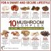 10-Mushroom Complex Nootropic Supplement | Brain Memory Focus Energy Immune Support | Lions Mane, Reishi, Cordyceps, Chaga | 90 Capsules - Buy Online on GoSupps.com