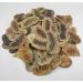 AgoraMarket Dried Senna Pods Herbal Tea 85g to 195KG Premium Quality Senna Alexandrina 220 grams - Buy Online on GoSupps.com