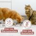 Catz Finefood MEATZ Chicken Treats for Cats - Grain-Free Sugar-Free Biotin-Enriched Crispy Strips 45g - Buy Online on GoSupps.com