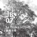 Buy Satsuma Hosho Japanese Botanical Air Essential Oil - 10ml | Premium Aromatherapy for Home & Wellness - Buy Online on GoSupps.com