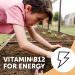 SmartyPants Daily Organic Kids Multivitamins - 120 Gummies for Optimal Growth - Buy Online on GoSupps.com