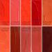 Buy Si n Richards London Coraline Lipwear Palette - 10 Professional Lipstick Shades for a Flawless Finish | International Shipping Available - Buy Online on GoSupps.com