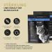 Peticare Muscle Building Powder for Cats | Essential Amino Acids & Collagen | Strengthens Muscles & Joints | Natural Supplement 125g - PETCAT Health - Buy Online on GoSupps.com