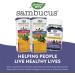 Nature's Way Sambucus HoneyBerry Cough Syrup with Black Elderberry Extract & Organic Honey Immune Support* 4 Fl. Oz - Buy Online on GoSupps.com