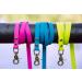 5m Strong Dog Towline Leash | Cyan-Blue | 2 Carabiners & D-Ring | Durable Water & Dirt Repellent - Buy Online on GoSupps.com