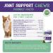 SWAGGY TAILS Glucosamine for Cats - Joint Inflammation Supplement with MSM, Chondroitin & Antioxidants | Premium Arthritis Pet Supplements (90 Chews) - Buy Online on GoSupps.com