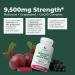 PurePremium Beet Root Capsules - 3-in-1 Blood Pressure Supplements with Beets CoQ10 & Grapeseed - Beetroot Capsules Nitric Oxide Supplement for Normal Heart Health & Circulation Health - 60ct - Buy Online on GoSupps.com