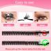 Poiuyoiu 40D False Eyelash Extensions | Reusable Cluster Lashes 8-16mm | Wispy Individual Eyelashes DIY - Buy Online on GoSupps.com